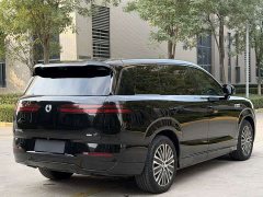 Denza N8L Premium Edition - ფოტო 20