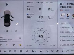Li Auto L6 Pro - ფოტო 9