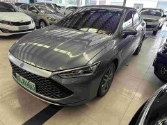 BYD Qin PLUS Champion Edition DM-i 55KM Exceed - фото 1