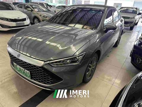 2024 BYD Qin PLUS Champion Edition DM-i 55KM Exceed