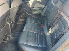Dongfeng Versailles C5 X 1.6T Unstoppable Tiger Year Special Edition - photo 6