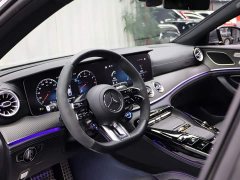 Mercedes-Benz AMG GT AMG GT 50 Four-Door Sports Car - photo 8