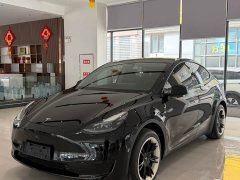 Tesla Model Y Rear-Wheel Drive - фото 1