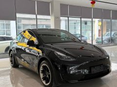 Tesla Model Y Rear-Wheel Drive - фото 3