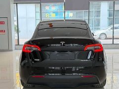 Tesla Model Y Rear-Wheel Drive - фото 8