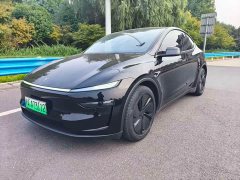 Tesla Model Y Long Range All-Wheel Drive Launch Edition - ფოტო 1