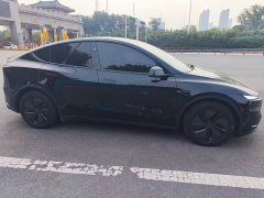 Tesla Model Y Long Range All-Wheel Drive Launch Edition - ფოტო 4