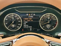 Bentley Flying Spur 4.0T V8 Standard Edition - ფოტო 10