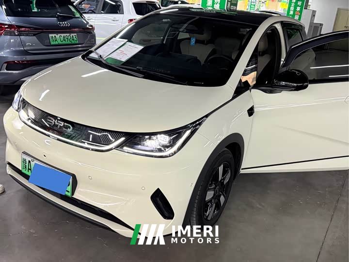 BYD Dolphin Glory Edition 420km Fashion Version