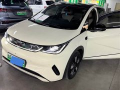 BYD Dolphin Glory Edition 420km Fashion Version - photo 1