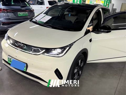 2025 BYD Dolphin Glory Edition 420km Fashion Version - car from China