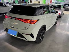 BYD Dolphin Glory Edition 420km Fashion Version - photo 8