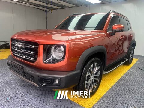 2021 Great Wall Dachshund 1.5T DCT Two-Wheel Drive Border Collie-Wangcai Edition - ავტომობილი ჩინეთიდან