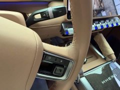 Dongfeng Mengshi M817 Max - ფოტო 10