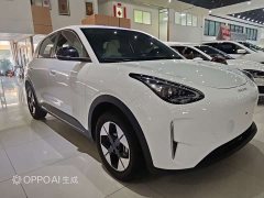 Geely Xing Yuan 310km Youth Edition - photo 2