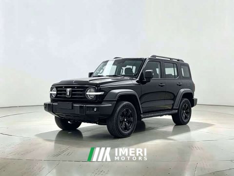 2024 Tank 300 2.0T Conqueror - car from China