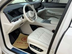 BYD Daton Pure Electric 950KM RWD Lidar Flagship - photo 2