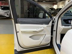 BYD Daton Pure Electric 950KM RWD Lidar Flagship - photo 8