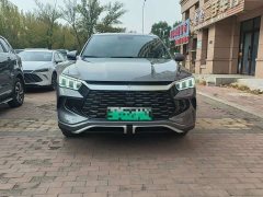 BYD Song Pro New Energy Champion Edition DM-i 110KM Excellence - photo 2