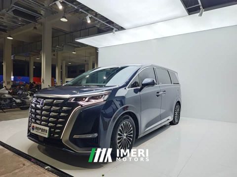 2025 Denza D9 DM-i 1050 Premium - car from China
