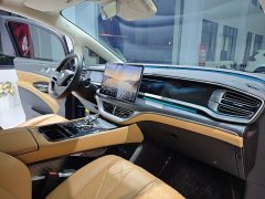 Denza D9 DM-i 1050 Premium - ფოტო 17