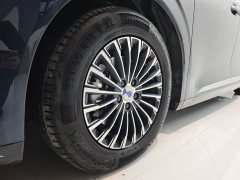 Denza D9 DM-i 1050 Premium - ფოტო 20
