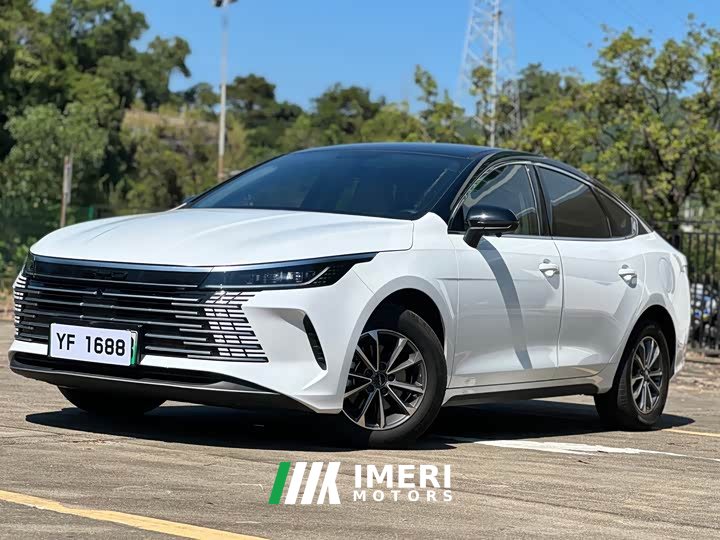 BYD Destroyer 05 Glory Edition DM-i 55KM Luxury - car from China