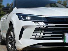 BYD Destroyer 05 Glory Edition DM-i 55KM Luxury - photo 4