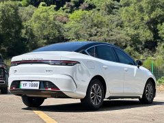 BYD Destroyer 05 Glory Edition DM-i 55KM Luxury - photo 5