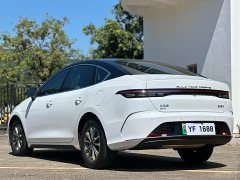 BYD Destroyer 05 Glory Edition DM-i 55KM Luxury - photo 7