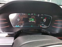 BYD Yuan Plus DM-i 2.0T AWD High Performance Genesis Flagship - photo 14