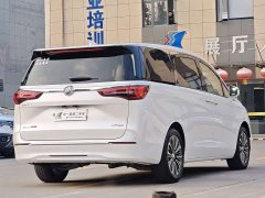 Buick GL8 ES Land Respect 653T Luxury - фото 7