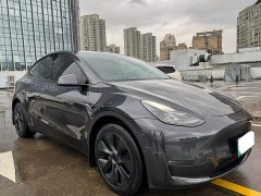 Tesla Model Y Long Range All-Wheel Drive - ფოტო 2