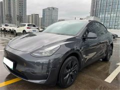 Tesla Model Y Long Range All-Wheel Drive - ფოტო 3