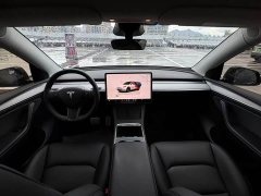 Tesla Model Y Long Range All-Wheel Drive - ფოტო 6