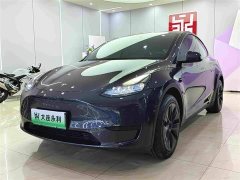 Tesla Model Y Rear-Wheel Drive - ფოტო 1