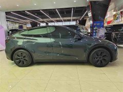 Tesla Model Y Rear-Wheel Drive - ფოტო 13