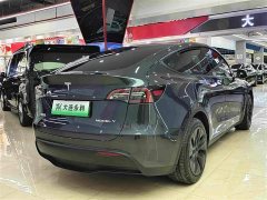 Tesla Model Y Rear-Wheel Drive - ფოტო 14
