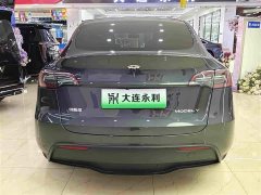 Tesla Model Y Rear-Wheel Drive - ფოტო 15