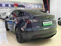 Tesla Model Y Rear-Wheel Drive - ფოტო 16