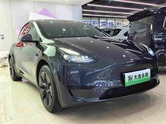 Tesla Model Y Rear-Wheel Drive - ფოტო 3
