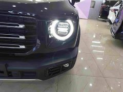 Great Wall Dachshund 2.0T DCT Two-Wheel Drive Chinese Hunting Dog Edition - фото 11