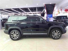 Great Wall Dachshund 2.0T DCT Two-Wheel Drive Chinese Hunting Dog Edition - фото 13
