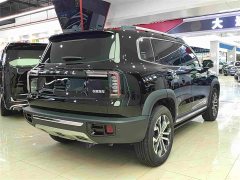 Great Wall Dachshund 2.0T DCT Two-Wheel Drive Chinese Hunting Dog Edition - фото 14
