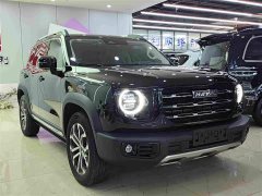 Great Wall Dachshund 2.0T DCT Two-Wheel Drive Chinese Hunting Dog Edition - фото 3