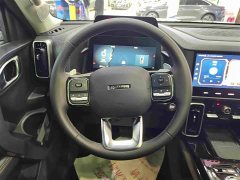 Great Wall Dachshund 2.0T DCT Two-Wheel Drive Chinese Hunting Dog Edition - фото 8