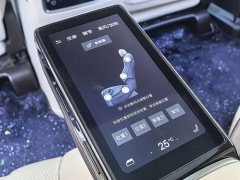 Denza D9 DM-i 980 AWD Luxury - ფოტო 12