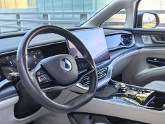 Denza D9 DM-i 980 AWD Luxury - ფოტო 14