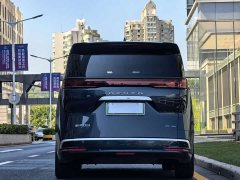 Denza D9 DM-i 980 AWD Luxury - ფოტო 5