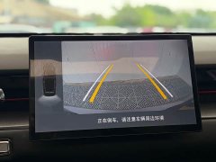 Jetour Jietu Dasheng 1.5T DCT Starlight PRO - ფოტო 11